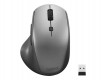 Lenovo ThinkBook Wireless Media Mouse - 4Y50V81591